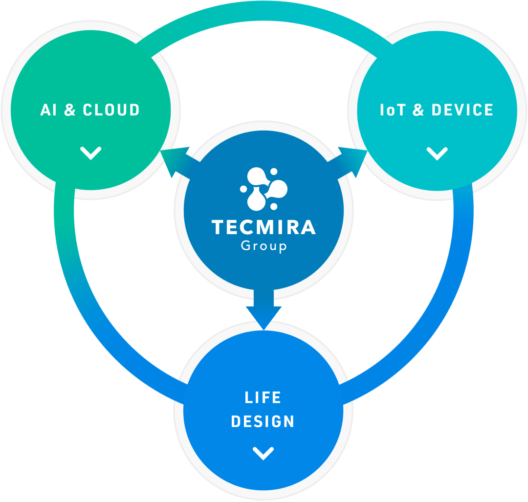 Figure: TECMIRA Group business concept